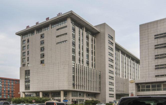 莘東置業：打造高品質住宅，引領宜居新時代