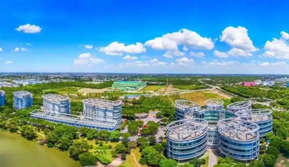 關于印發《金山區促進若干重點領域服務業高質量發展支持政策》的通知